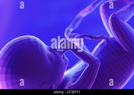 Foetus, week 20, illustration. Stock Photo
