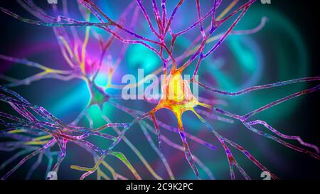 Pyramidal neurons of human brain cortex, computer illustration. Stock Photo