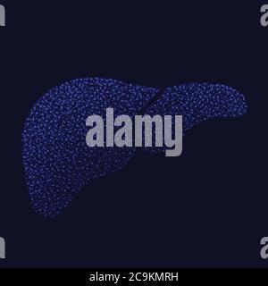 Human liver dotted silhouete background Stock Vector
