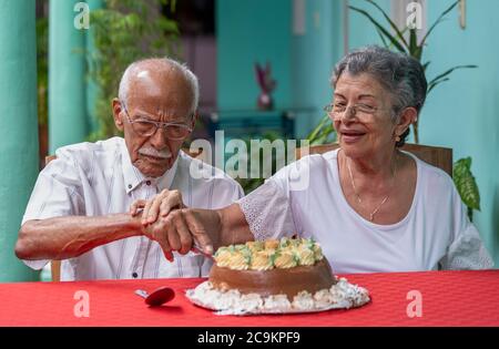 Smiling elderly couple cutting a cake helping each other Stock Photo