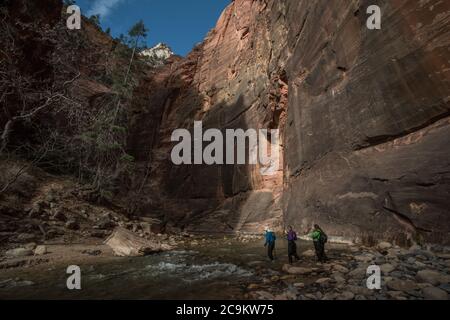 The narrows hike in Zion National park involves walking and wading through the virgin river at the bottom of a beautiful canyon. Stock Photo