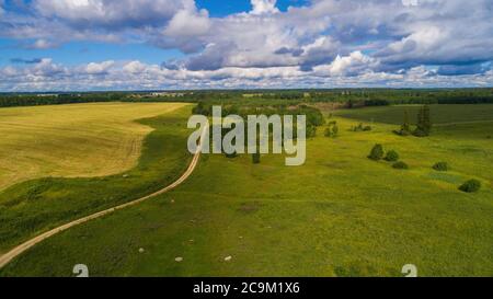 July sunny day over the fields of the Leningrad region. Russia Stock Photo