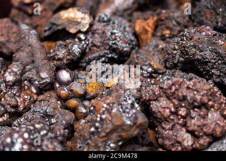 Close-up of the structure of the fossil. Souvenirs natural minerals on the window of a street shop Stock Photo