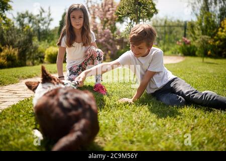 Kids playing with the dog in the backyard Stock Photo