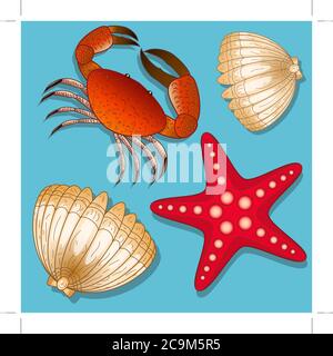 Set of marine inhabitants. Crab, starfish and shell. Isolated objects Stock Vector
