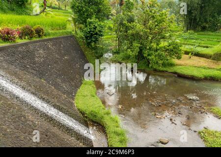 Water dam at Rice paddies Stock Photo