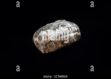 Beautiful moldy bread on black color background.healthy and food concepts.biology and science. Stock Photo
