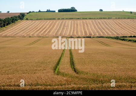 Site of the Battle of Flodden in September 9th 1513 at Barnxton Hill, Northumberland, England. Stock Photo