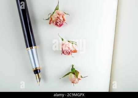 the ink handle lies on empty pages of a notebook with blank sheets, a fountain pen from a book with rose. Stock Photo
