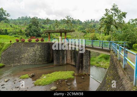 Water dam at Rice paddies Stock Photo