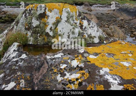 Lichen and rock pools washes by the Atlantic along Ireland's Wild Atlantic Way. Stock Photo