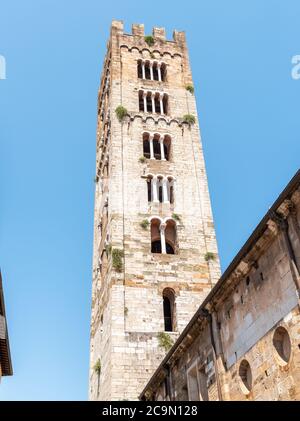 Bell tower of Basilica of San Frediano, is a Romanesque church in old town Lucca, Tuscany, Italy Stock Photo
