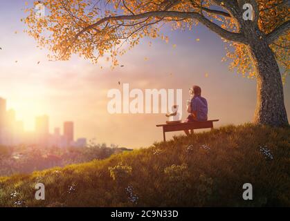 Back to school! Happy cute industrious child sitting on the bench near tree on background of sunset urban landscape. Concept of successful education. Stock Photo