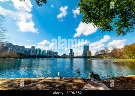Ducks and swans in Lake Eola park in Orlando, USA Stock Photo
