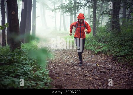 Female outdoor runner, running through misty forest on a rainy day. Stock Photo