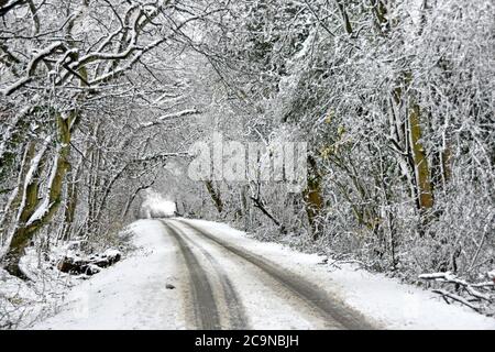 Car tracks in white scene narrow country road lane after snowfall below tunnel of snow covered trees in winter wonderland landscape Essex England UK Stock Photo