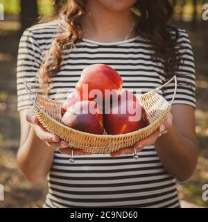 Close up portrait of happy pregnant woman holding a basket with peaches in summer park Stock Photo