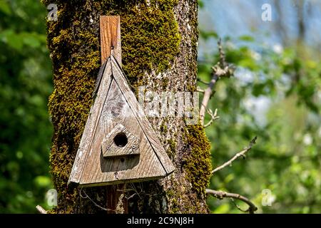 wooden house for birds for breeding and protection Stock Photo