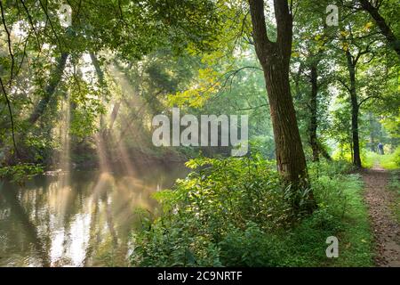 Sun streaming through trees at Bull's Island, in The Delaware River (part of the Delaware and Raritan Canal State Park), New Jersey, USA Stock Photo