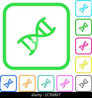 DNA molecule vivid colored flat icons in curved borders on white background Stock Vector