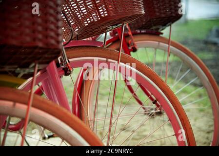 Pink bikes with brown baskets standing in a row for sale, close-up. Stock Photo