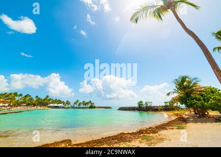 Blue sky over Bas du Fort beach in Guadeloupe, French west indies