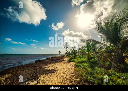 Autre Bord beach in Guadeloupe, French west indies. Lesser Antilles, Caribbean sea Stock Photo