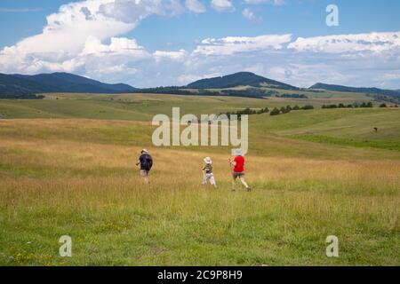 Zlatibor, Serbia - July 25. 2020 Tourists with mountaineering equipment walk through the meadow on the glade on a sunny summer day Stock Photo