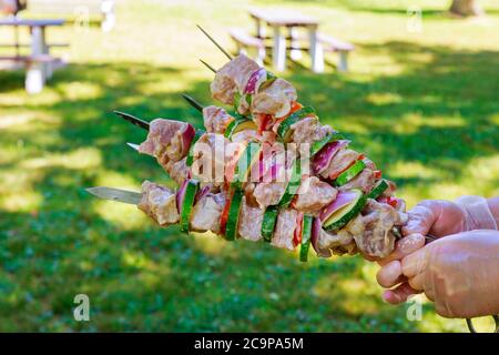 Picnic with barbecue meat on skewer in hands. Stock Photo