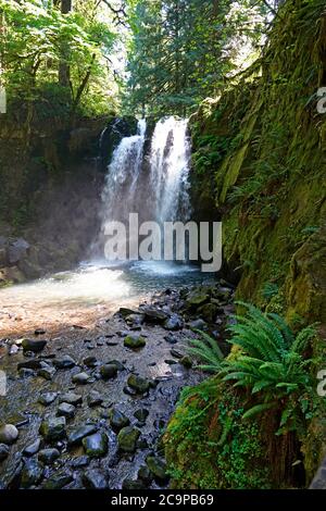 Majestic Falls along McDowell Creek in McDowell Creek County Park in Sweet Home, Oregon, on the western slope of the Cascade Mountains and on the edge Stock Photo
