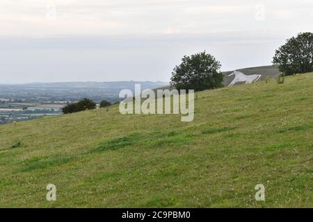 The Westbury White Horse, Wiltshire Stock Photo