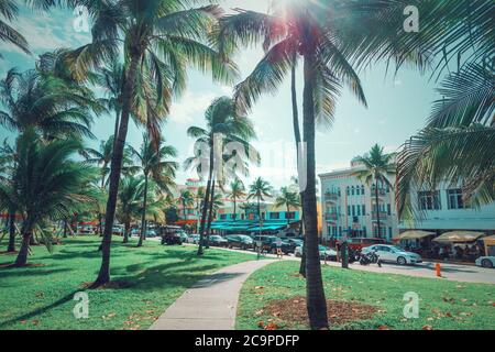 Miami Beach, USA - February 26, 2019: Coconut palm trees in world famous Ocean Drive in South Beach
