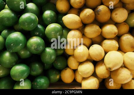 Lemmon and lime fresh citrus fruit on sale side by side in a farm market display in Montgomery Alabama, USA. Stock Photo