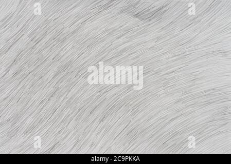 pencil drawing on paper background texture Stock Photo