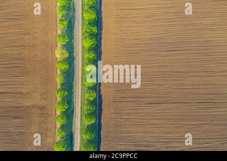 Rural landscape with fields. Aerial view rows of soil before planting. Furrows row pattern in a plowed field prepared for planting crops in spring Stock Photo