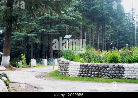 A concrete road boundary wall made of stones tall  trees with green leaves with a solar road light in Manali, selective focusing Stock Photo