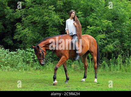 Equestrian model girl riding sportive dressage horse in summer fields Stock Photo