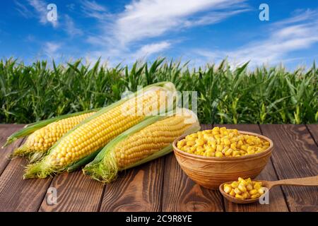 corn cobs and canned seeds in clay bowl Stock Photo