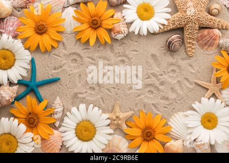 Beautiful frame made of daisies, seashells, starfish and chamomile imprints on the sand. View from above Stock Photo