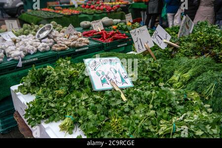 Coriander, dill, mint and other fresh green herbs displayed on street food market, Lewisham, London Stock Photo