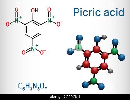 Picric acid ( 2,4,6-trinitrophenol, TNP, C6H3N3O7) molecule. It has a role as an explosive, an antiseptic drug. Structural chemical formula and molecu Stock Vector