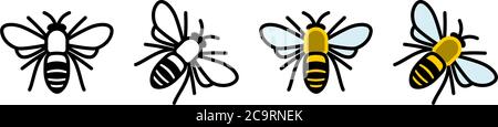 Bee icon, top view, black and coloured version Stock Vector