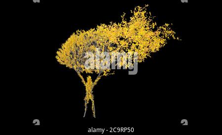 Growing Tree in a shape of Human. Eco Concept. 3D rendering. Stock Photo