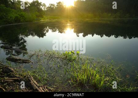 Landscape of forest and lake during sunrise. Reflection of forest and sun on lake. Stock Photo