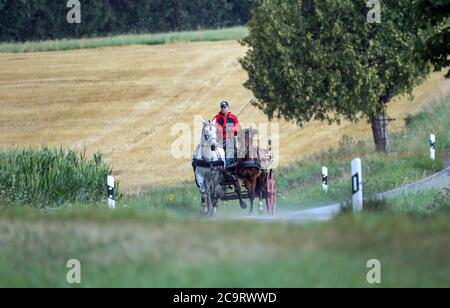02 August 2020, Baden-Wuerttemberg, Binzwangen: A man drives in the rain with a carriage drawn by two horses over a country road. Photo: Thomas Warnack/dpa Stock Photo