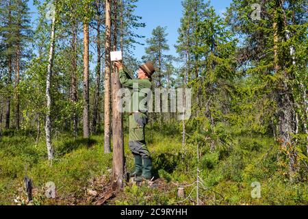 Hunter mounting a salt lick on a cut tree trunk and in background a blue sky, pickture from Northern Sweden. Stock Photo
