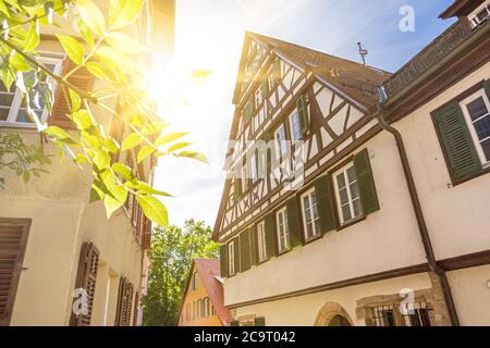 Sun shining through green leaves in front of historic buildings in the old town of Tübingen in Southern Germany Stock Photo
