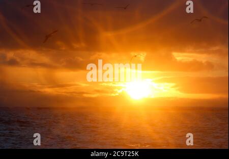 Ocean scene around Andenes, Andoya island, Vesteralen, Norway, Scandinavia, Europ Stock Photo