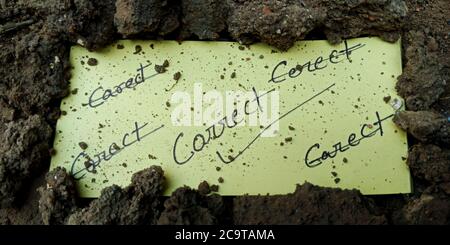 Correct word multiple error displaying on paper slip with black soil background business leadership concept. Stock Photo