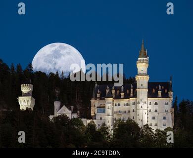 Twilight over Schloss Neuschwanstein, Schwangau, Bavaria, Germany, Europe Stock Photo